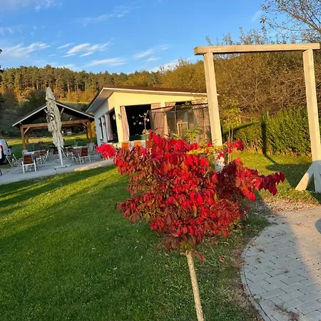 Hotel Pensiunea Baroc Dobirlau