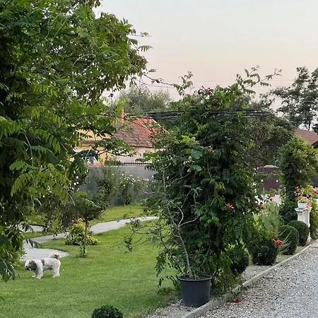 Pensiunea Baroc Hotel