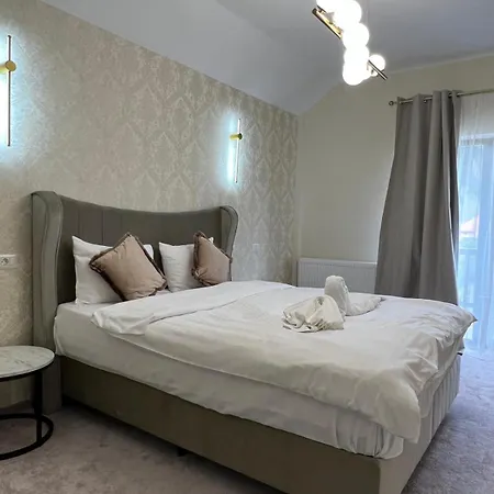 Hotel Pensiunea Baroc 3*